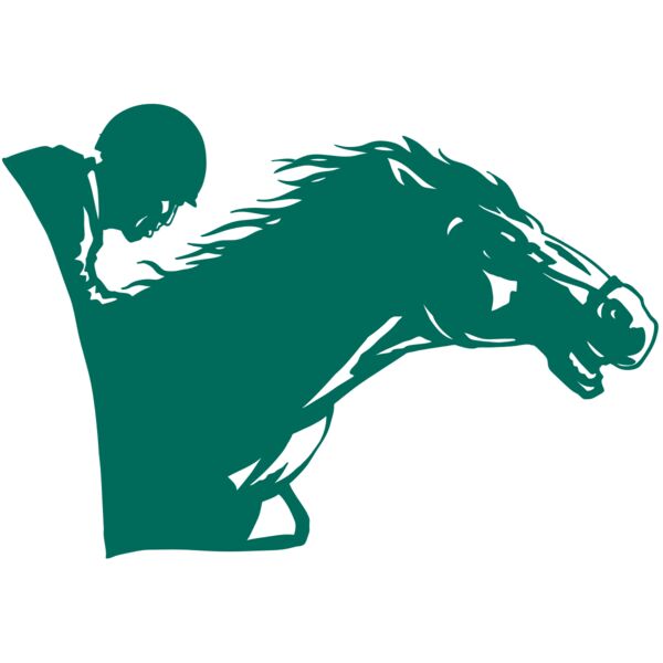 AR EQUEST 19 RC Thumbnail