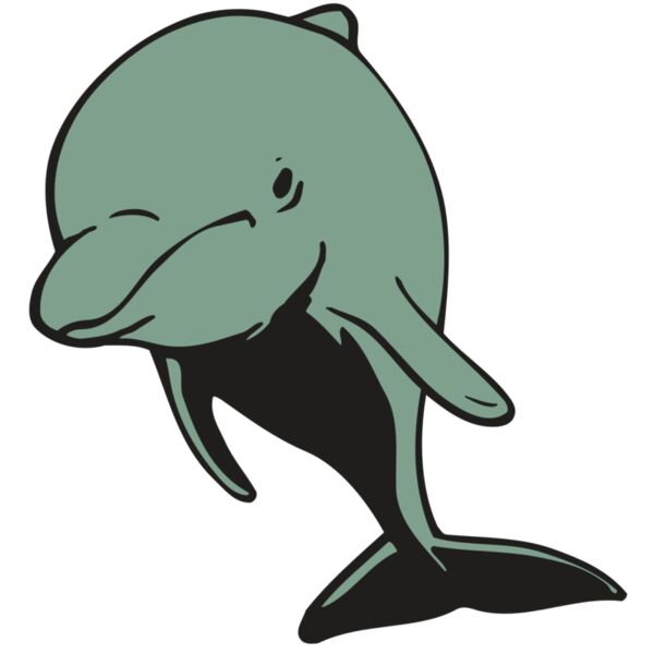 AR DOLPIN 11 RC Thumbnail