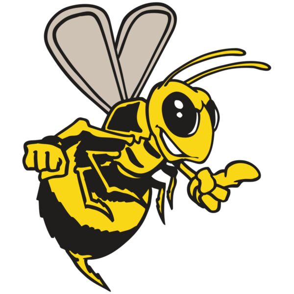 AR BEE 20 RC Thumbnail