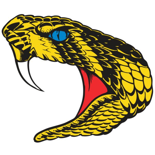 BAW SNAKE 06 RC Thumbnail